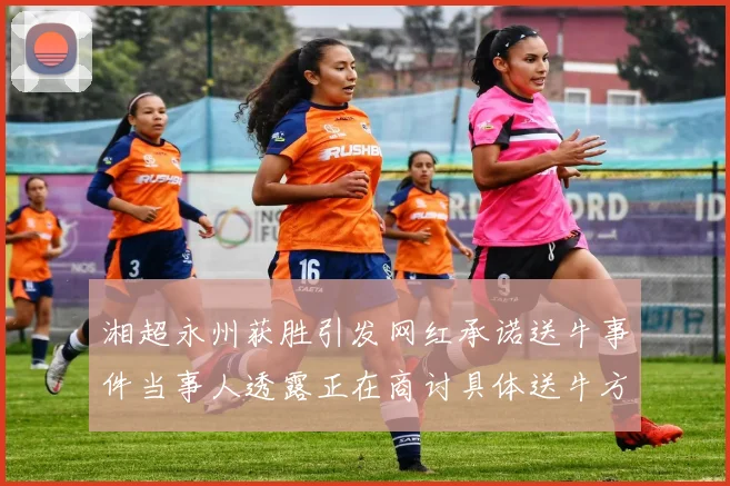 湘超永州获胜引发网红承诺送牛事件当事人透露正在商讨具体送牛方案
