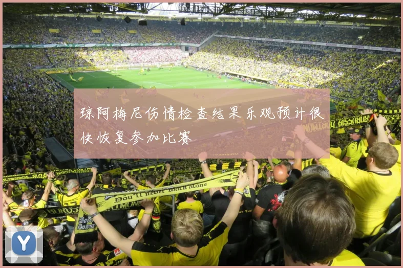 琼阿梅尼伤情检查结果乐观预计很快恢复参加比赛