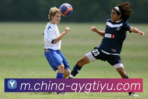 多媒体互动体验